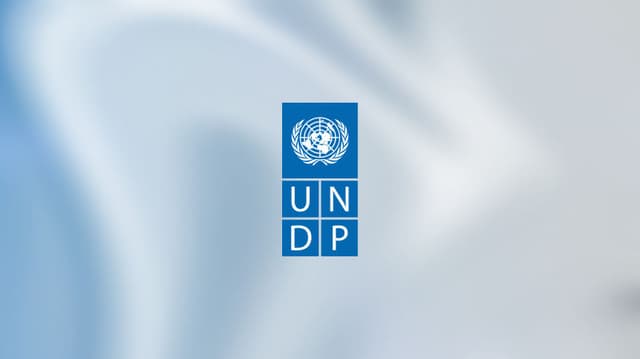 UNDP Nigeria logo on a light ground